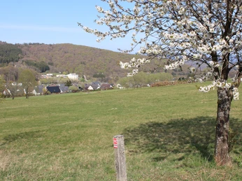 Aussicht vom Parkplatz Sportplatz Lützeln