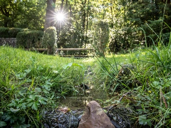 Auf der Eiercke Auf der Eiercke