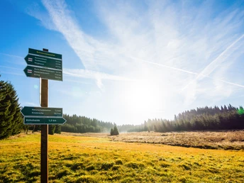 Wegweiser im Schwarzwassertal