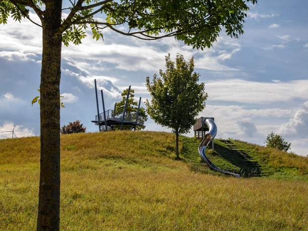 lohfelden_gruene_mitte_aussichtsplattform_tanzeiche_6284a