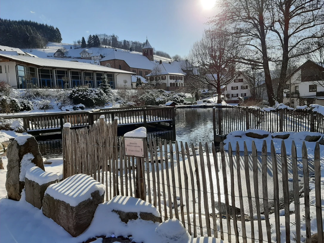 Winterlicher Kurpark