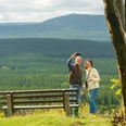Auf dem Gipfel des Bärenstein, Blick zum Fichtelberg