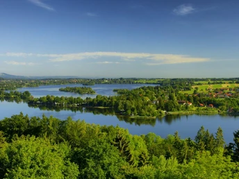 Jonas-Meisterbilder 2009-8