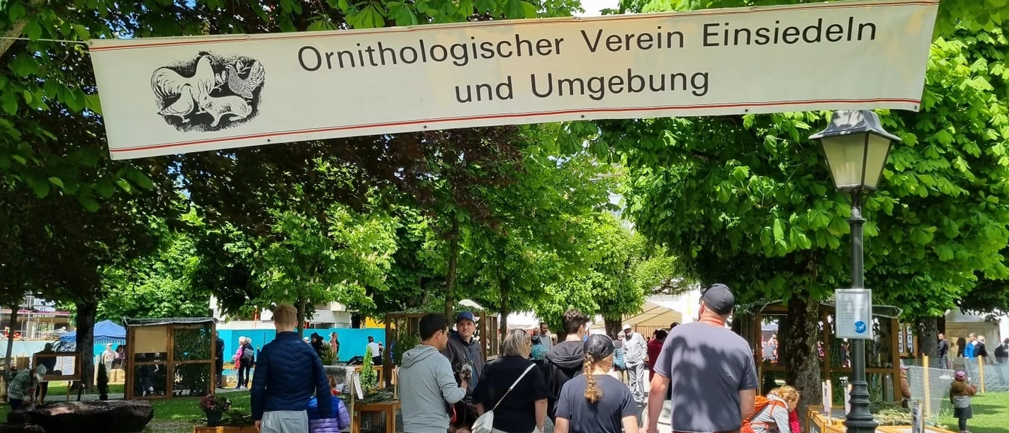 34 Jungtierschau 24 25 Mai 2025 (48)