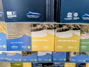 Infopoint Flyerständer.jpg