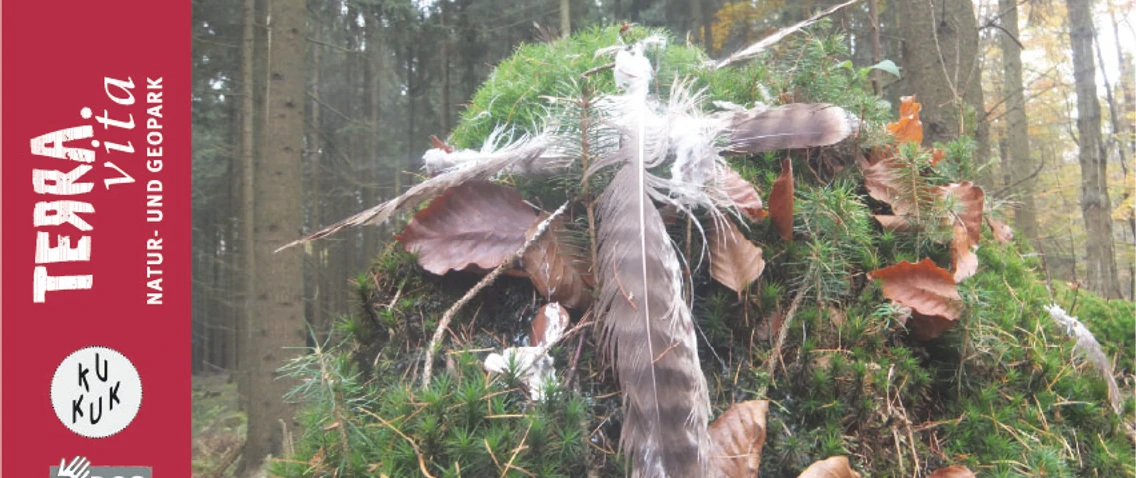 Tierspuren-Tiere und Tierspuren im Wald
