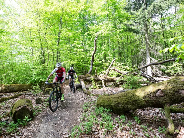 Mountainbiker auf der Pur