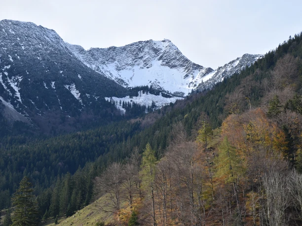 Die Aiplspitz von Aurach gesehen