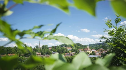 Miesbach