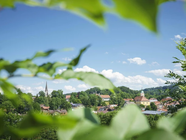 Miesbach