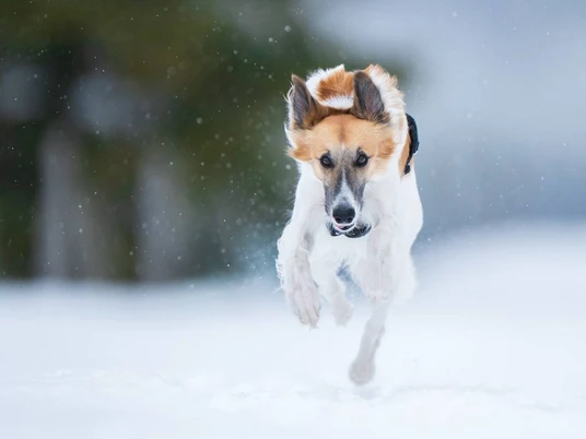 Photo 2025 11 11 13 32 44 (2)