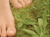 Screenshot 2025 12 02 132606