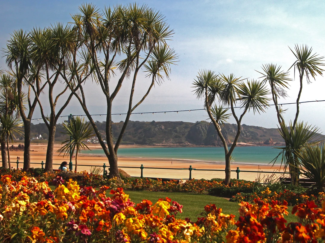 Palmen und Strand auf Jersey Palmartige Bäume vor bunten Blumen mit Blick auf einen weiten Strand und ruhiges Meer.