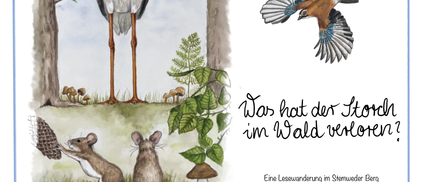 Was hat der Storch im Wald verloren