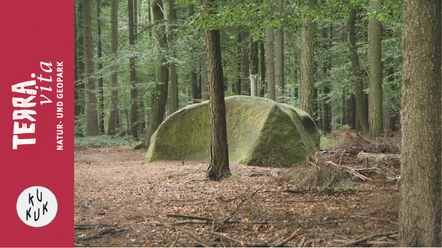 Steinernes Meer Belm-Ein Meer aus Steinen und das im Wald