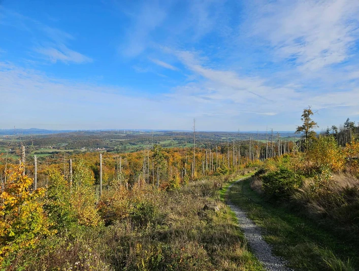 Herbstweg durch lichten Wald mit weitem Blick über Hügel und Felder unter blauem Himmel