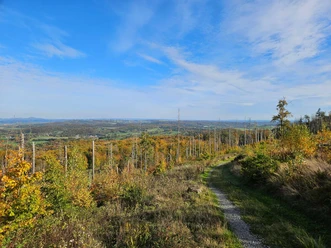 Langeland Hagebuttenrunde Herbstweg durch lichten Wald mit weitem Blick über Hügel und Felder unter blauem Himmel