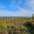 Langeland Hagebuttenrunde Herbstweg durch lichten Wald mit weitem Blick über Hügel und Felder unter blauem Himmel