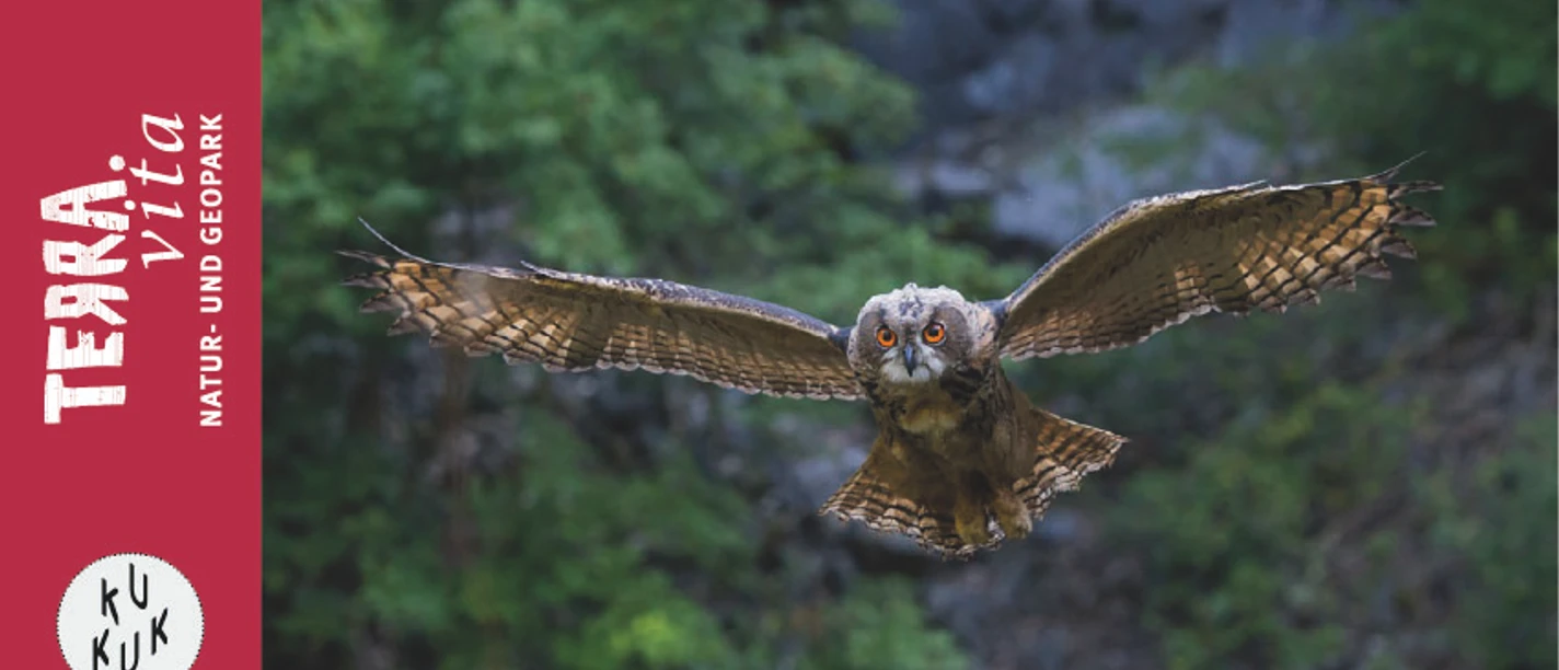 Uhu-Eulen lautlose Jäger der Nacht