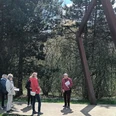 2025_Thermalsolbadroute_HD_16zu9.jpg Gruppe bei Führung im Grünen vor großer Metallskulptur auf der Thermalsolbadroute SalzgitterGroup on a guided tour in the countryside in front of a large metal sculpture on the Salzgitter thermal brine bath routeGruppe på guidet tur i landskabet foran en stor metalskulptur på ruten til det termiske saltvandsbad i SalzgitterGroep tijdens een rondleiding op het platteland voor een grote metalen sculptuur op de route van het thermale zoutbad van Salzgitter