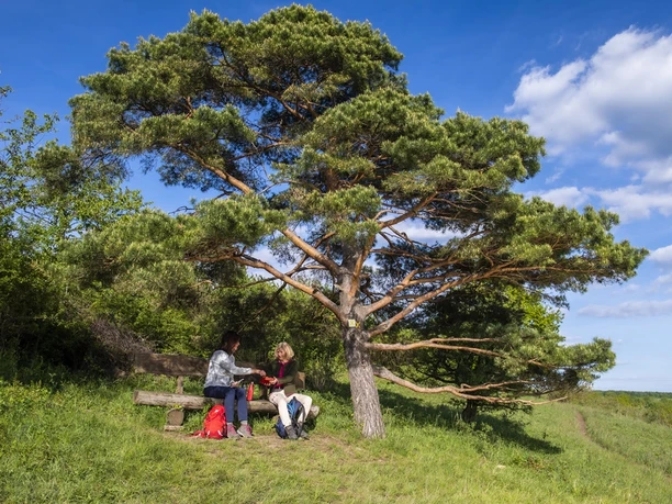 Wanderpause auf der Traumschleife Panoramaweg Perl