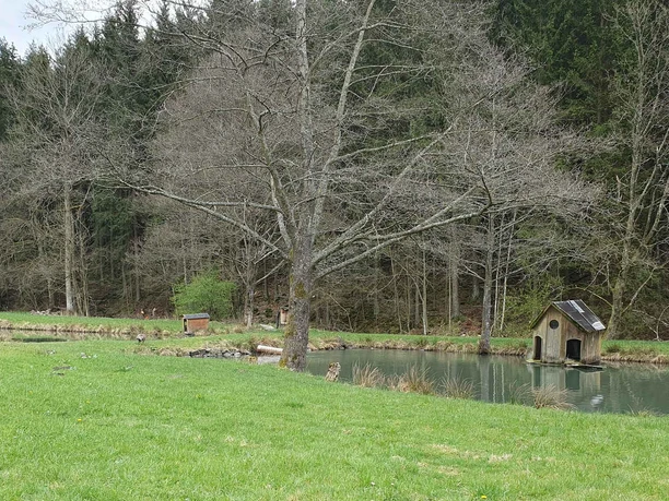 Teiche im Kurpark Nordenau