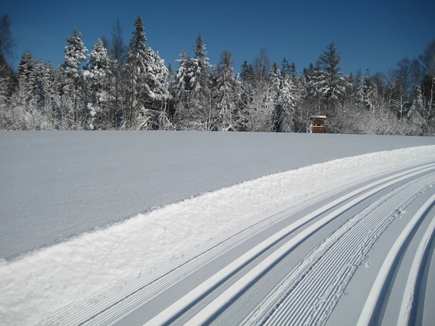 Langlaufloipe Kochelfilz
