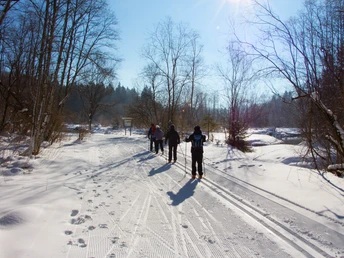Langlaufloipe Kochelfilz