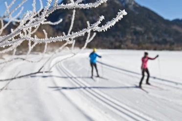 Langlaufen - Scherenauer Runde Langlauf Ammergauer Alpen