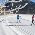 Langlaufen - Scherenauer Runde Langlauf Ammergauer Alpen