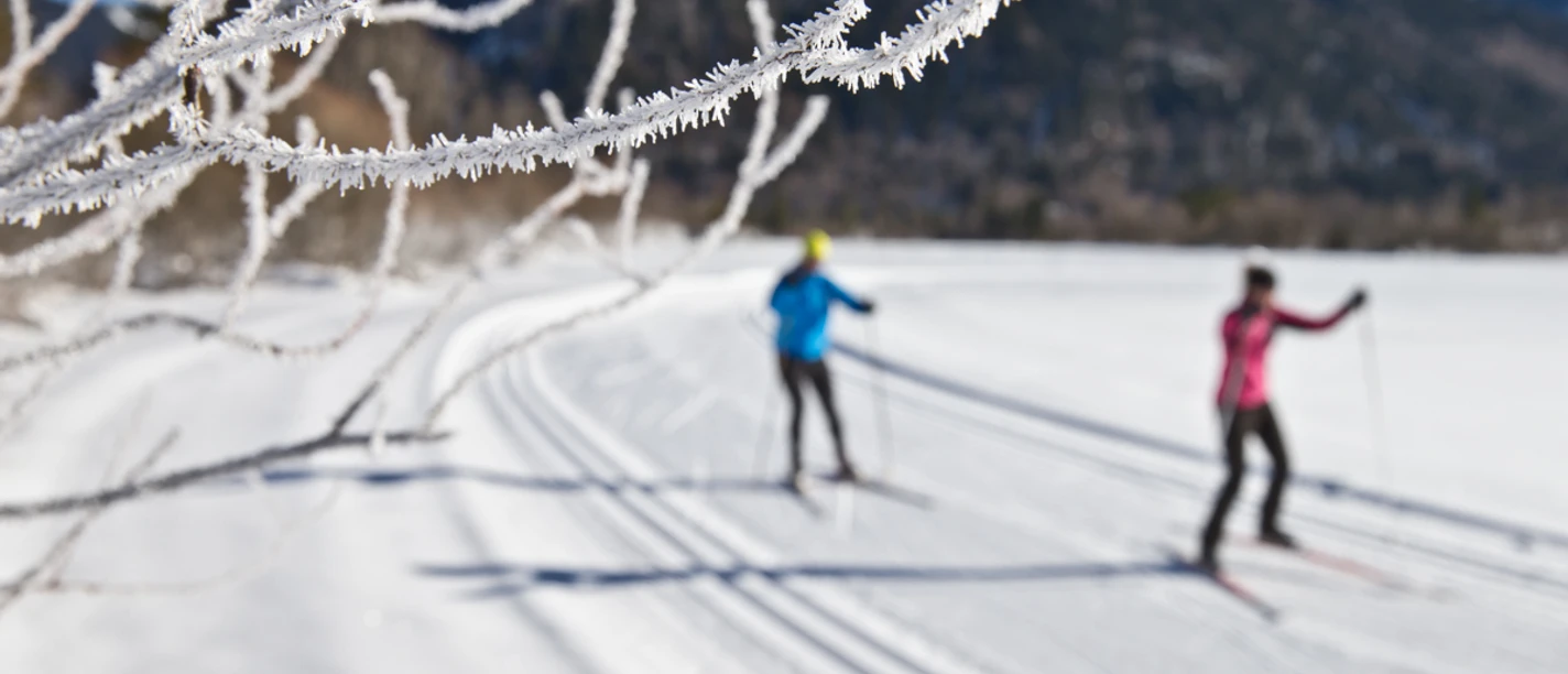 Langlaufen - Scherenauer Runde Langlauf Ammergauer Alpen