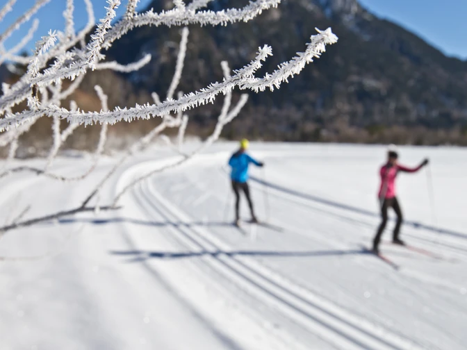Langlaufen - Scherenauer Runde Langlauf Ammergauer Alpen
