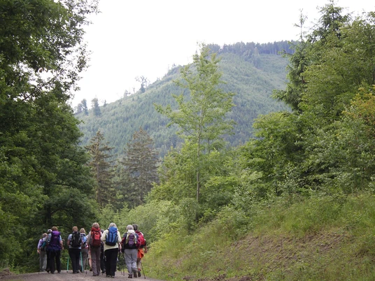 Klosterwanderweg vor Himmelspforte Klosterwanderweg vor Himmelspforte