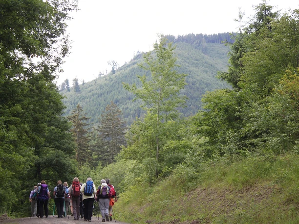 Klosterwanderweg vor Himmelspforte Klosterwanderweg vor Himmelspforte