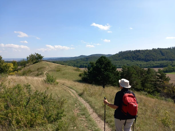 Schönes Harzvorland Schönes Harzvorland