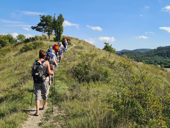 Harzer Klosterwanderweg - auf dem Ziegenberg Harzer Klosterwanderweg - auf dem Ziegenberg