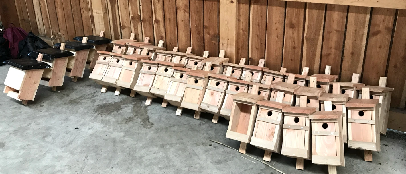 Vogelhäuser selber bauen Vogelhäuser selber bauen