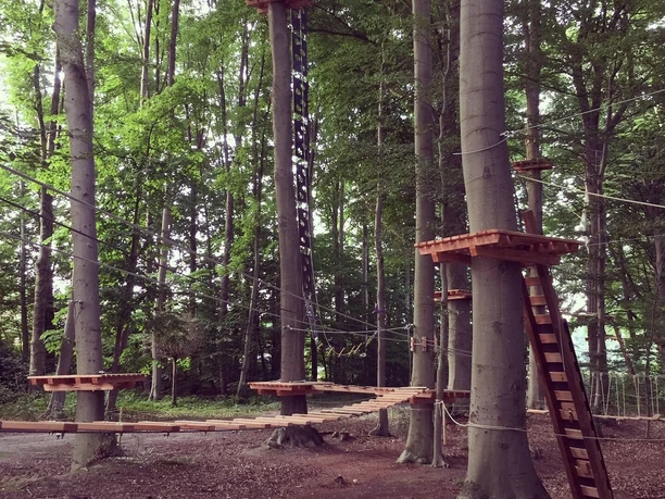Kletterwald II.jpg Holzplattformen und Seilbrücken zwischen hohen Bäumen in einem grünen Waldkletterpark.