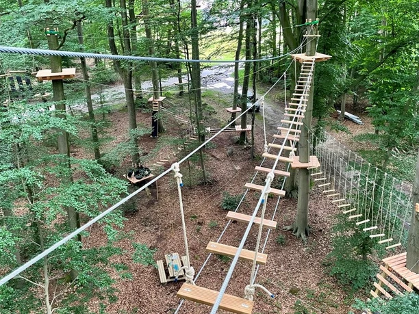 Kletterwald III.jpg Hochseilparcours im dichten Laubwald mit Hängebrücken und Plattformen zwischen hohen Bäumen.