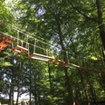 Kletterwald VI.jpg Holzplattformen und Seile eines Hochseilparcours zwischen hohen Bäumen im sonnigen Wald.