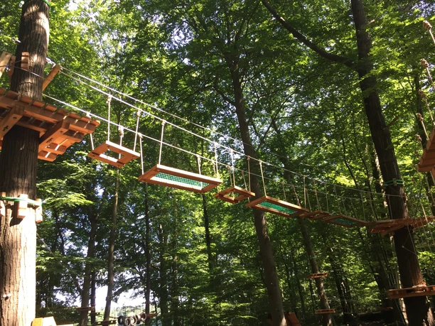 Kletterwald VI.jpg Holzplattformen und Seile eines Hochseilparcours zwischen hohen Bäumen im sonnigen Wald.