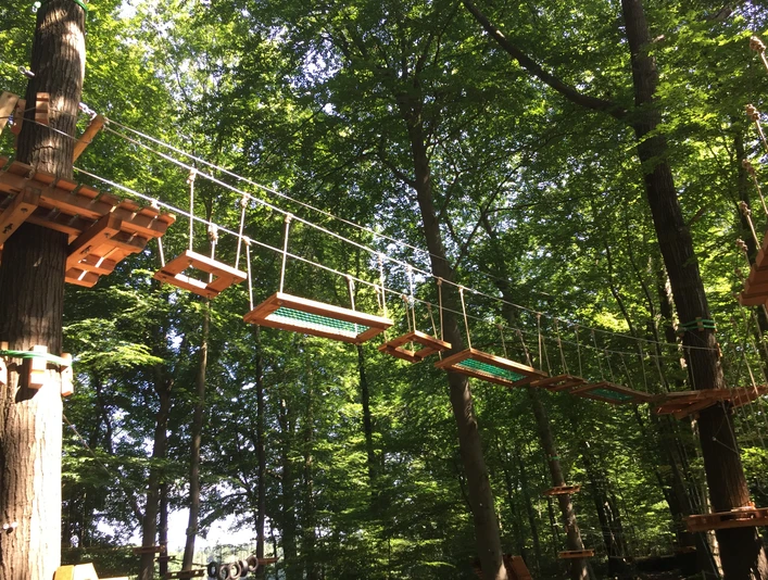 Kletterwald VI.jpg Holzplattformen und Seile eines Hochseilparcours zwischen hohen Bäumen im sonnigen Wald.