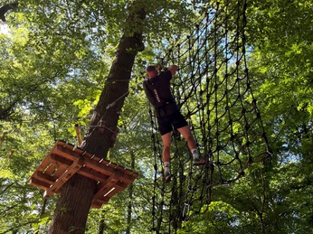Kletterwald VII.jpg Person klettert in einem Hochseilgarten an einem Netz zwischen hohen Bäumen im sonnigen Wald.