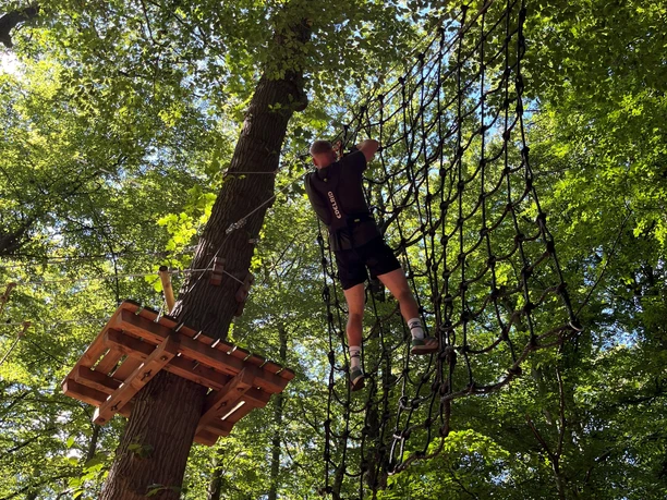 Kletterwald VII.jpg Person klettert in einem Hochseilgarten an einem Netz zwischen hohen Bäumen im sonnigen Wald.