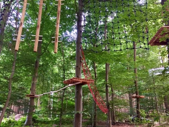 Kletterwald.jpg Hochseilgarten im Wald mit Schaukelseilen, Hängebrücken und Kletternetzen zwischen hohen Bäumen