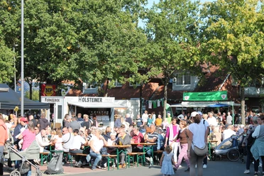 People sit and stand in sunny weather on the fairground in front of the stage at the honey festival in Wietzendorf.