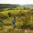 Anstieg Hammelsberg auf dem Panoramaweg Perl