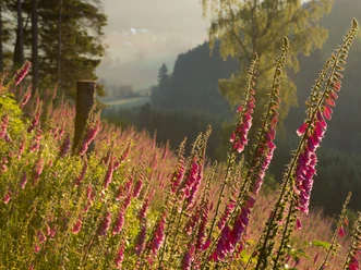 Wandern im Schmallenberger Sauerland