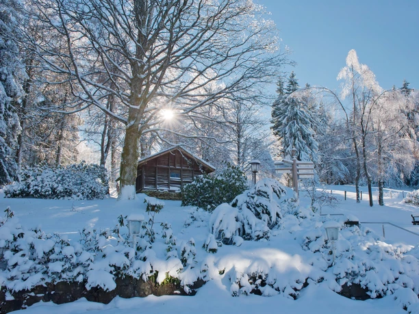 Winterwanderung im Schmallenberger Sauerland.