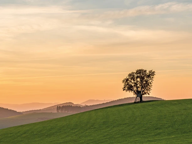 Landschaftspanorama auf dem Hömberg oberhalb von Oberhenneborn